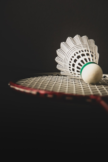 Why Badminton is So Popular in Malaysia