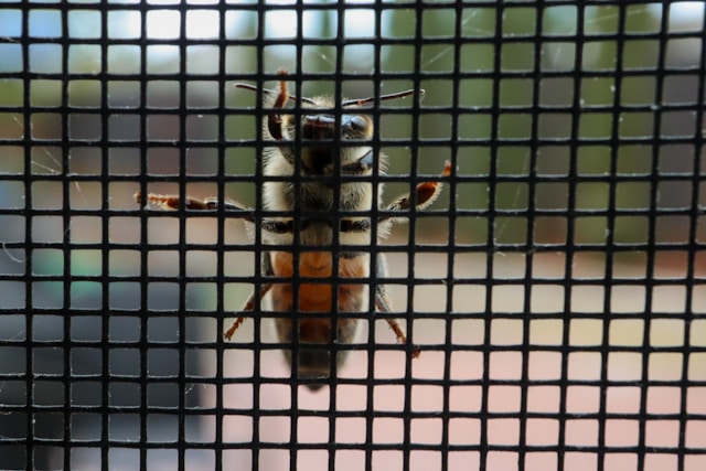 Fly Screens: Your Solution for Insect Control