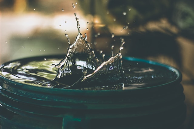 Water Distillers vs. Reverse Osmosis: Which is Right for You?