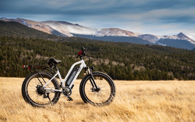 The Evolution of Commuting: Electric Bikes Changing Canada's Urban Landscape