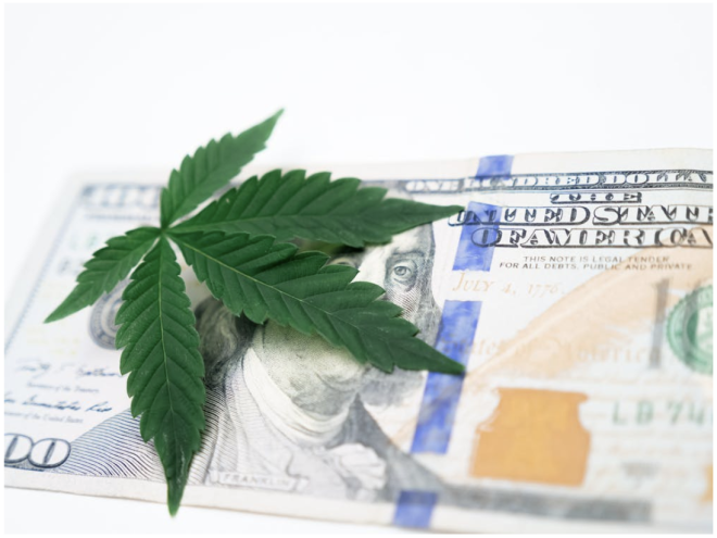 Business of Cannabis: How Entrepreneurs Are Capitalizing on the Green Rush?