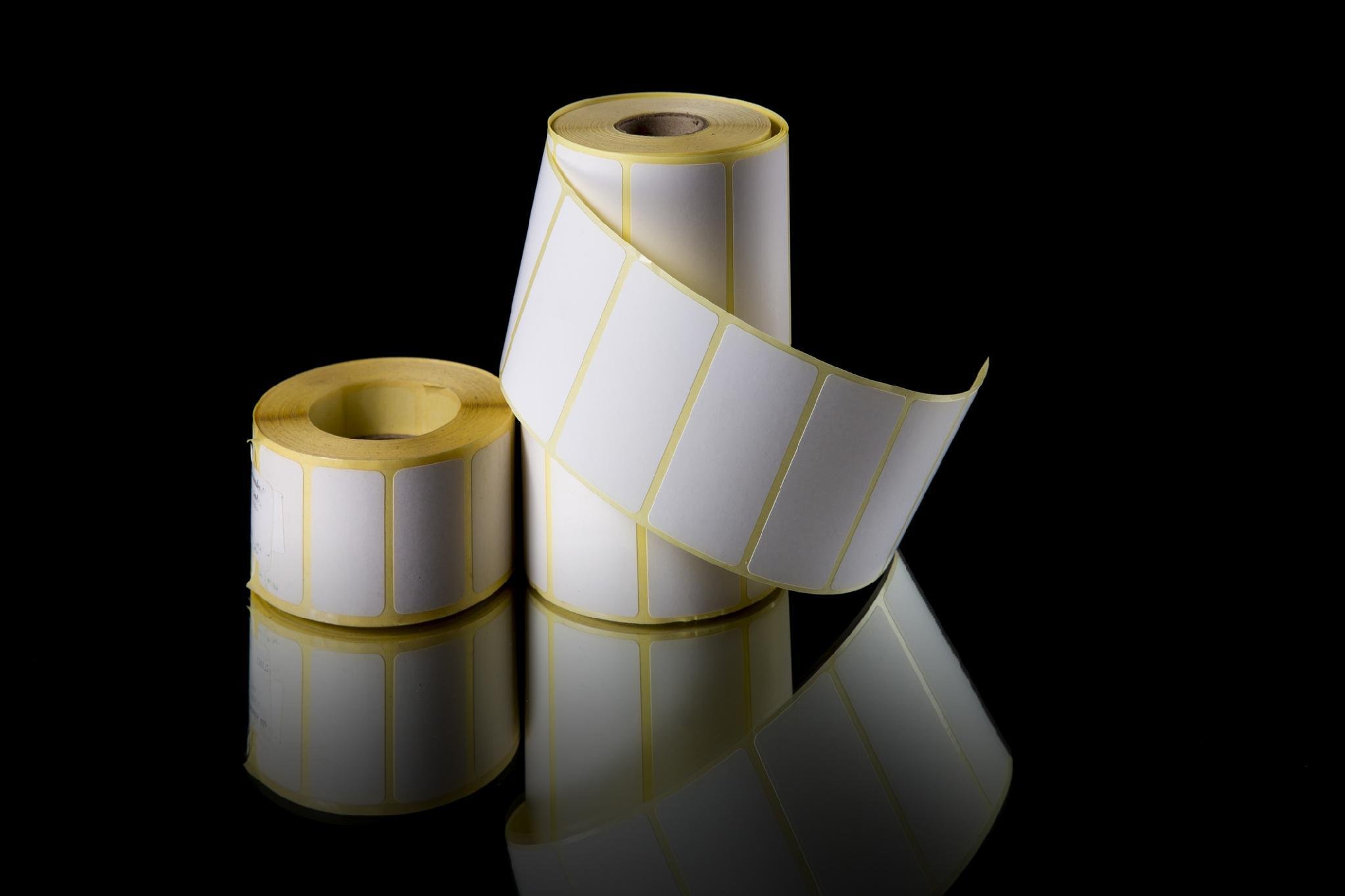 Direct Thermal vs Thermal Transfer: Which Label Suits Your Job?
